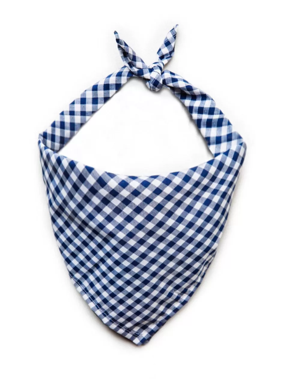 Kiel James Patrick Cape Cod Picnic Bandana