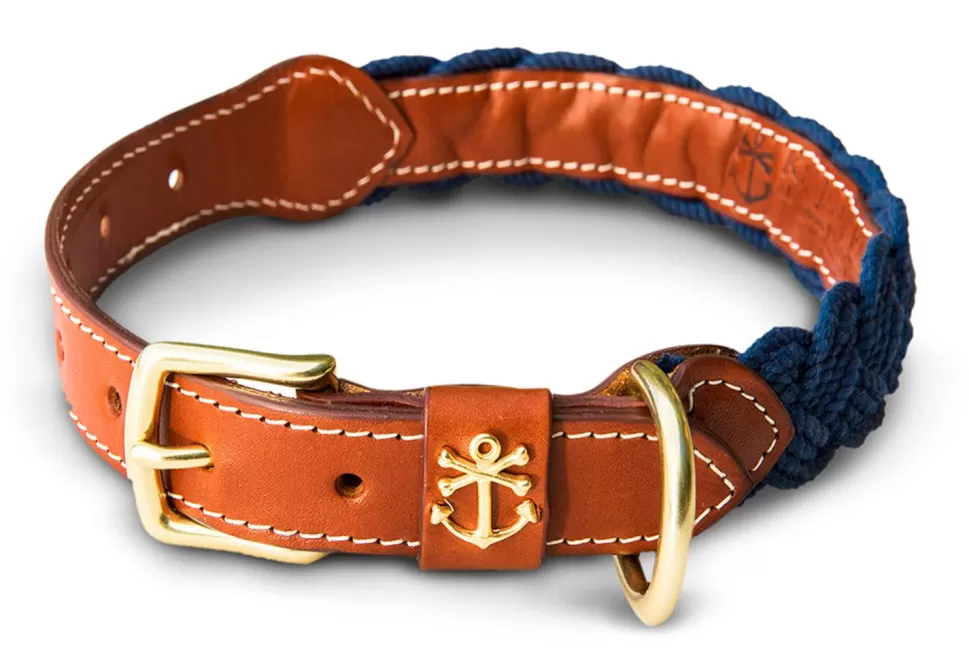 Kiel James Patrick Hortock'S Compass Rose Dog Collar