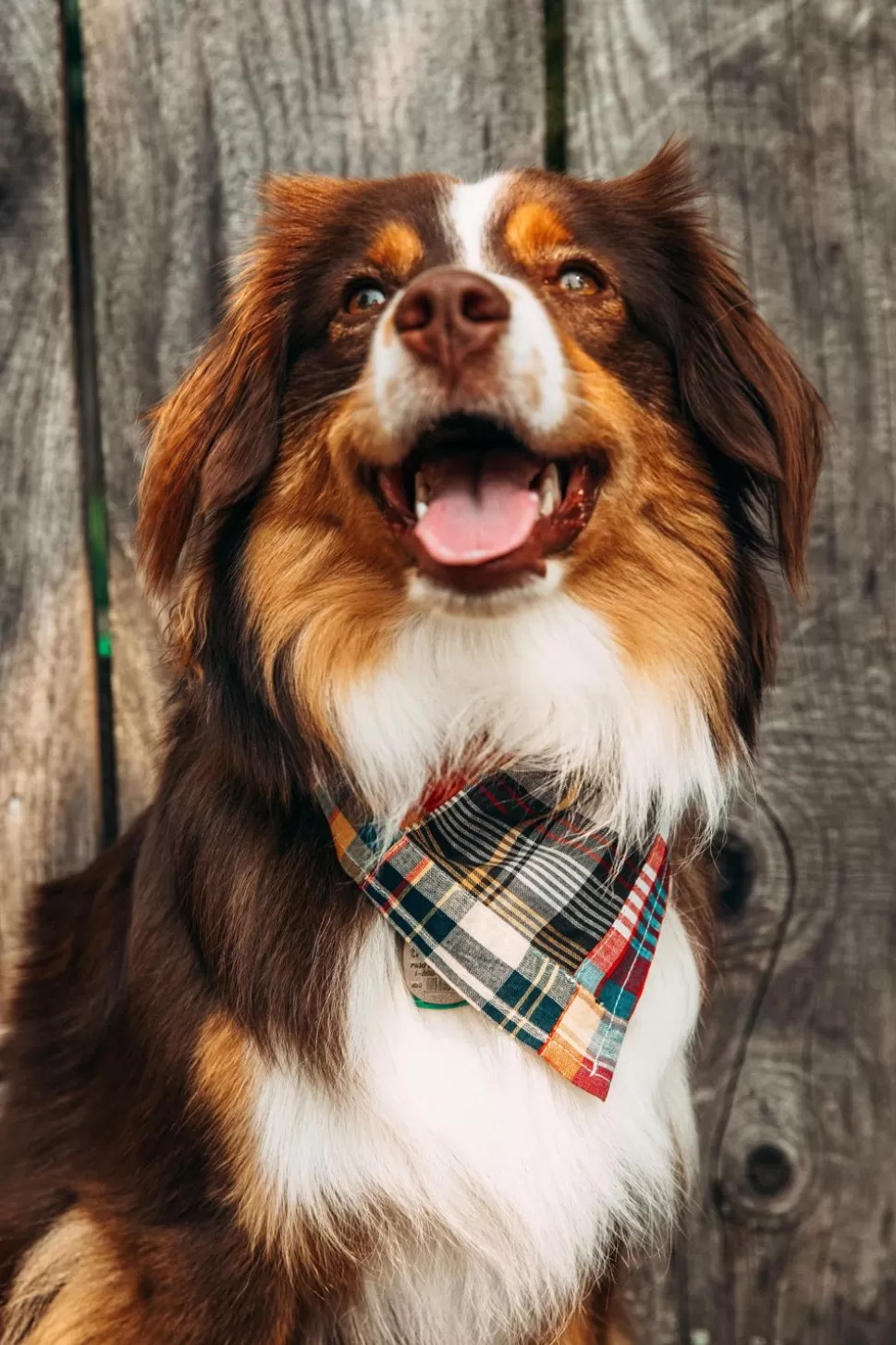 Kiel James Patrick Hyannis Patchwork Madras Bandana