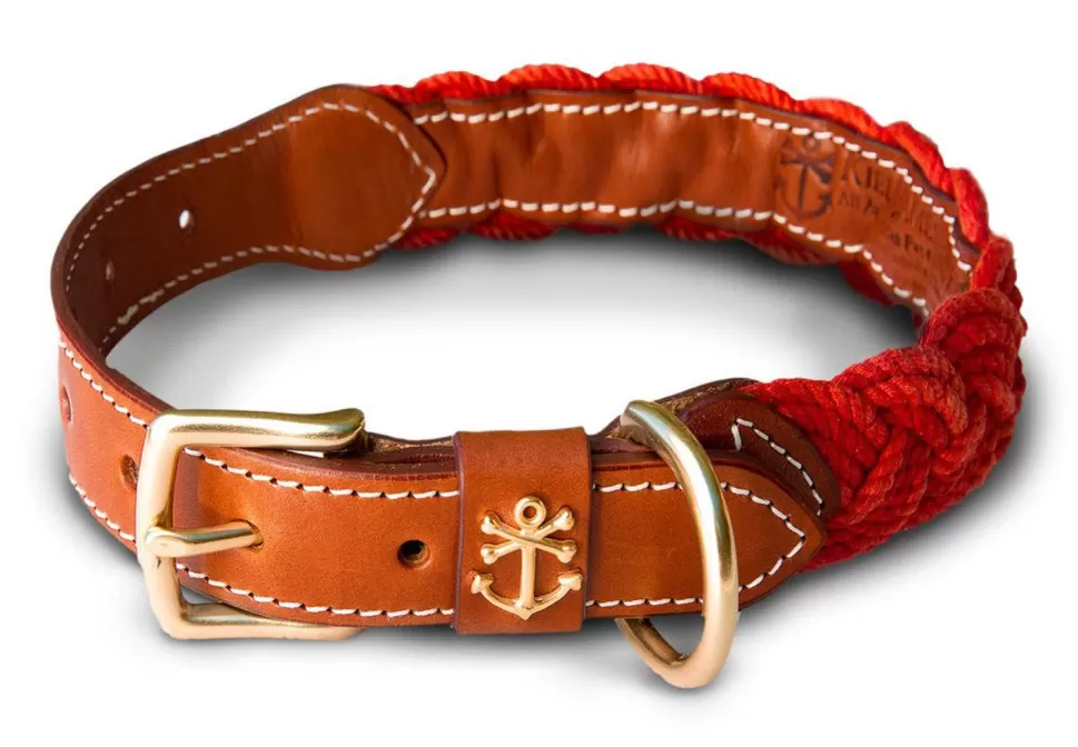 Kiel James Patrick Narragansett Lifeguard Dog Collar