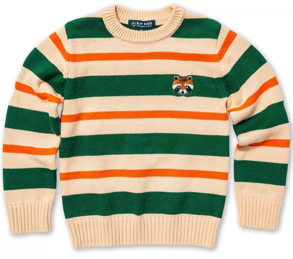 Kids Kiel James Patrick Wilderness Raccoon Striped Kids Sweater